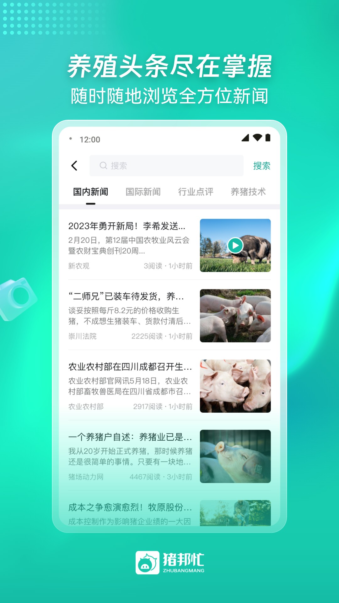 猪邦忙app：中国养猪行业智慧办公新选择