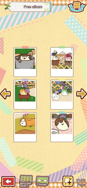 小花盆刺猬最新版下载 - 安卓休闲益智游戏