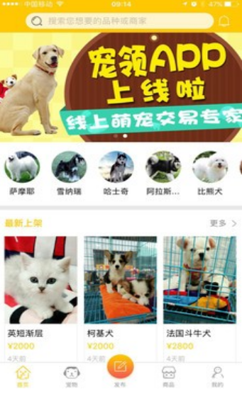 宠领app：一站式宠物服务，打造宠物爱好者社区