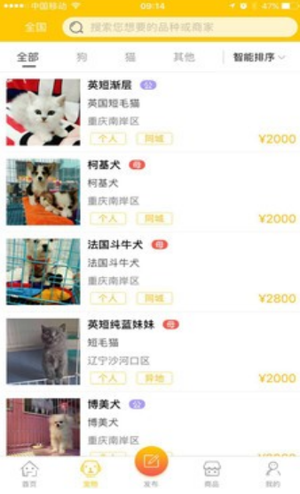 宠领app：一站式宠物服务，打造宠物爱好者社区