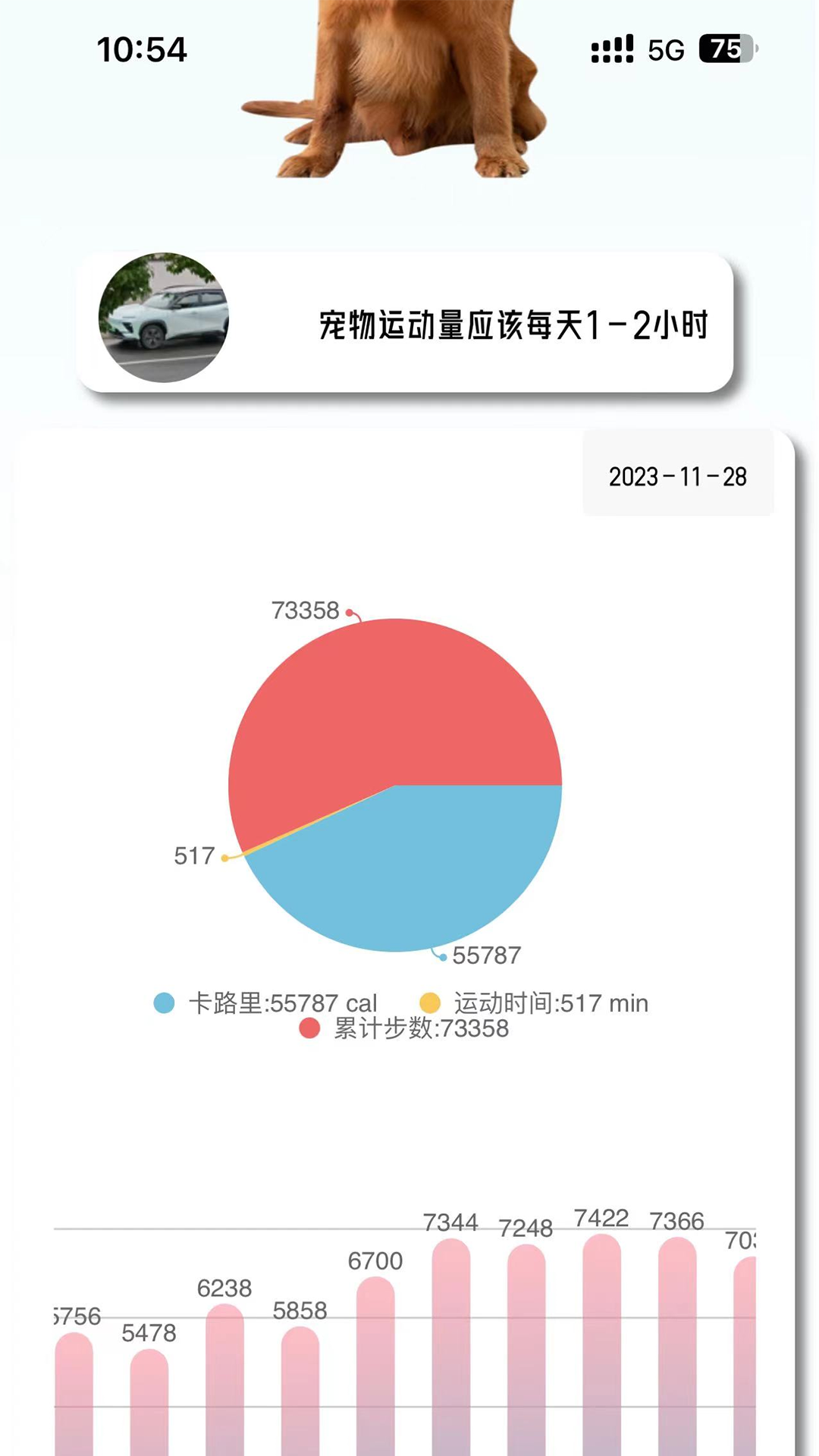 宠悦悦App下载：宠物智能防丢解决方案