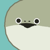 虚无鱼BasPi - 养殖与成长之旅