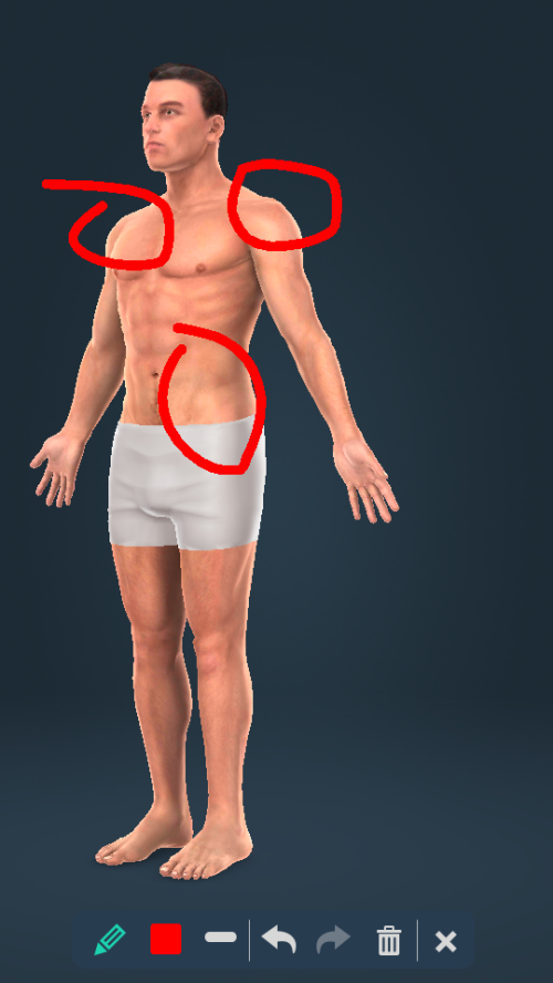 Humanbodymale软件：Android考试学习必备