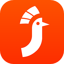 及时会视频会议：云端视频通信，高效办公新体验