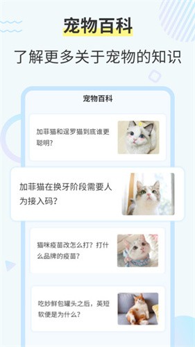 猫咪交流翻译器 - 精准翻译，增进人猫互动