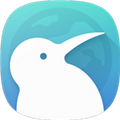 KiwiBrowser浏览器：打造无干扰手机浏览体验