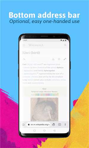 KiwiBrowser浏览器：打造无干扰手机浏览体验