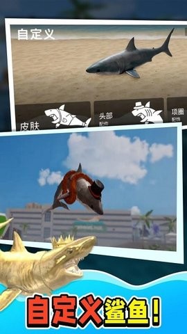 鲨鱼大猎杀3D版中文版下载 - 探索解谜的乐趣