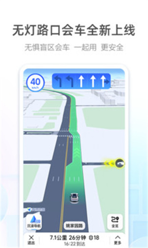 高德世界地图：全球精准导航与语言支持