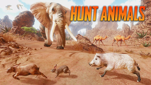 《野猪模拟器》下载：体验野猪生存挑战