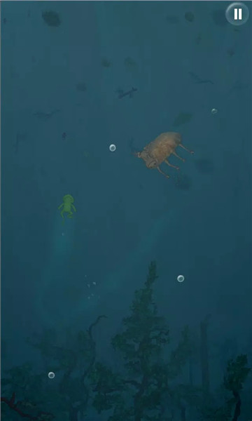 青蛙深呼吸游戏下载：探索神秘水森林的冒险解密之旅