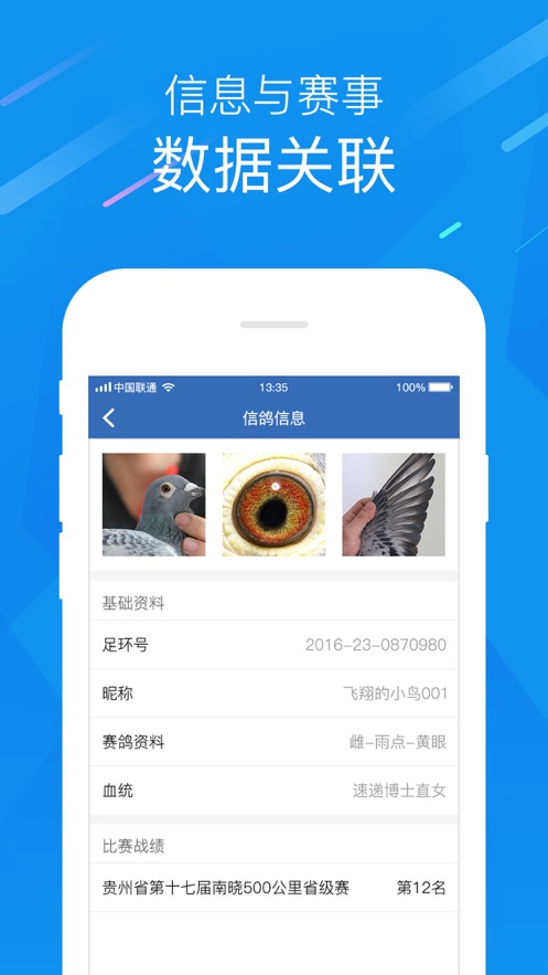 中国信鸽协会app下载 - 权威资讯与赛事管理