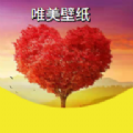 KS壁纸：Android上高清壁纸的精选下载
