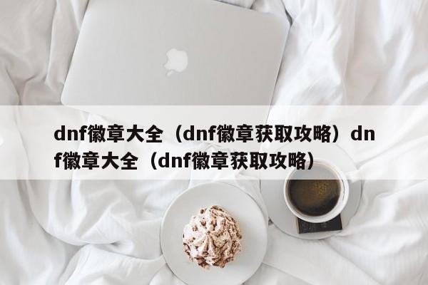 dnf徽章大全(dnf徽章获取攻略)dnf徽章大全(dnf徽章获取攻略)