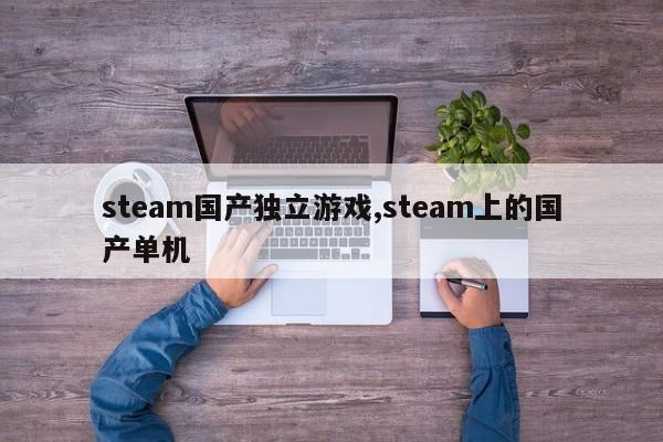 steam国产独立游戏,steam上的国产单机