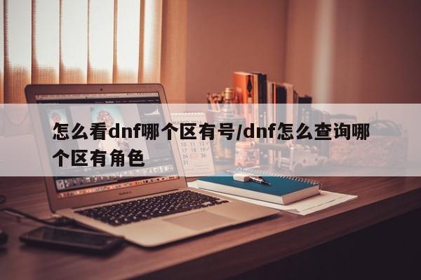 怎么看dnf哪个区有号/dnf怎么查询哪个区有角色