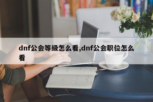 dnf公会等级怎么看,dnf公会职位怎么看