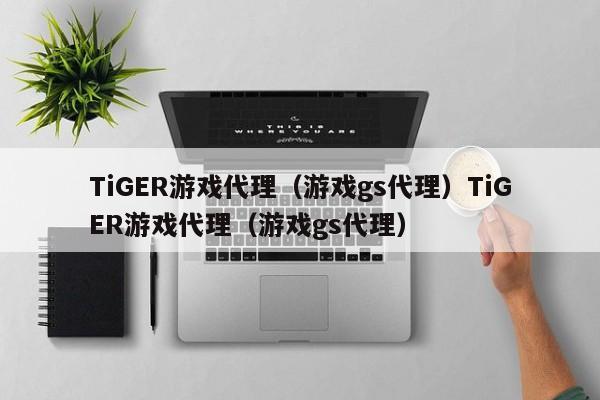 TiGER游戏代理（游戏gs代理）TiGER游戏代理（游戏gs代理）