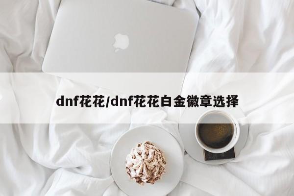 dnf花花/dnf花花白金徽章选择