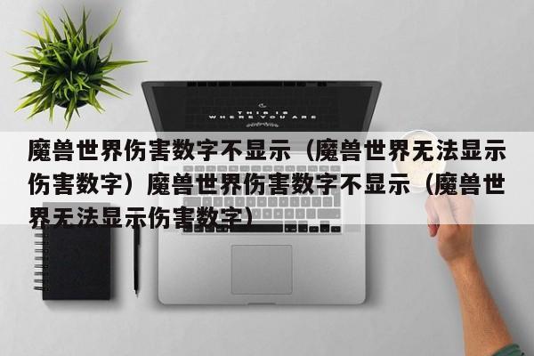 魔兽世界伤害数字不显示(魔兽世界无法显示伤害数字)魔兽世界伤害数字不显示(魔兽世界无法显示伤害数字)