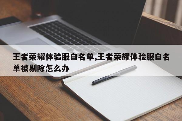 王者荣耀体验服白名单,王者荣耀体验服白名单被剔除怎么办