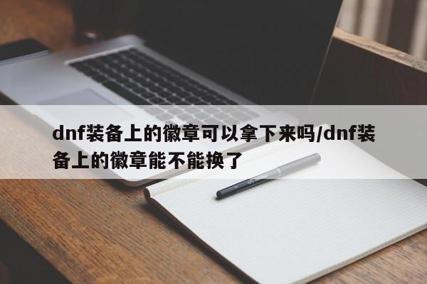 dnf装备上的徽章可以拿下来吗/dnf装备上的徽章能不能换了