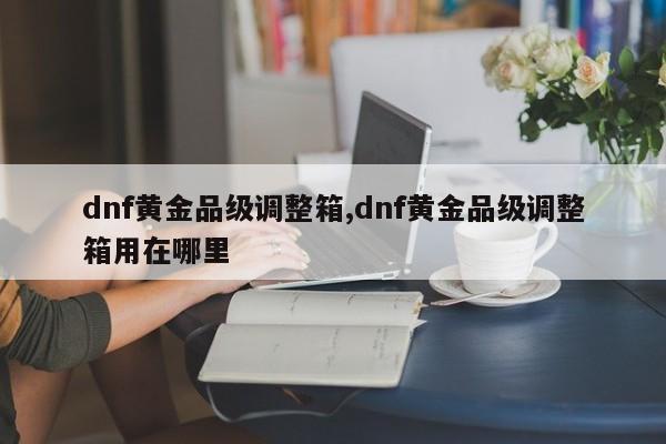 dnf黄金品级调整箱,dnf黄金品级调整箱用在哪里