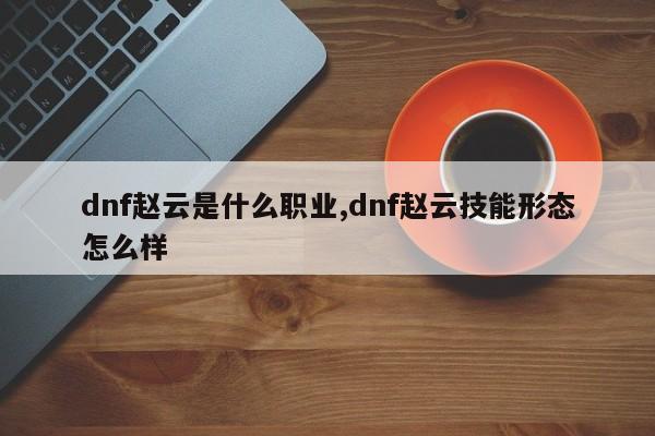 dnf赵云是什么职业,dnf赵云技能形态怎么样