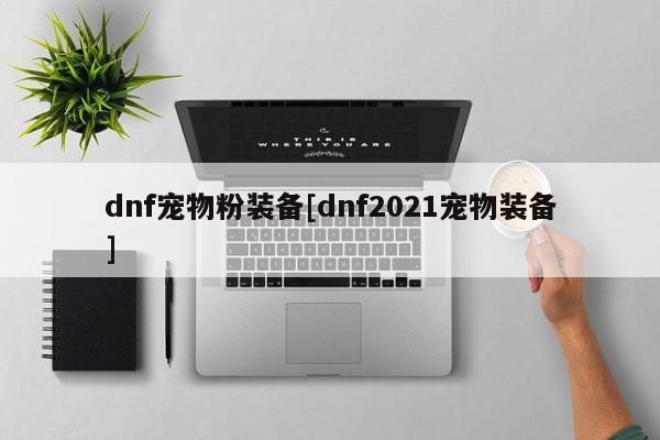 dnf宠物粉装备[dnf2021宠物装备]