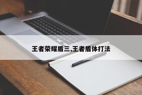 王者荣耀盾三,王者盾体打法