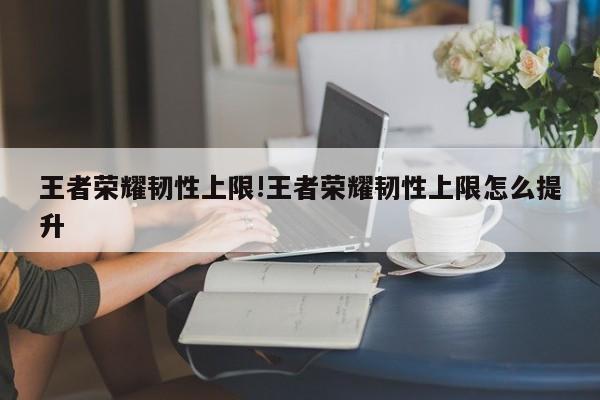 王者荣耀韧性上限!王者荣耀韧性上限怎么提升