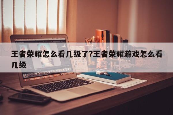 王者荣耀怎么看几级了?王者荣耀游戏怎么看几级